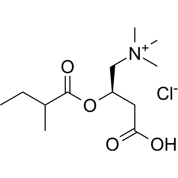 2-Methylbutyrylcarnitine chloride